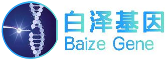 底部LOGO